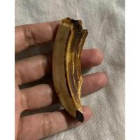 ราคา เขี้ยวหมูตัน กระเด็น วัสดุแท้ (25060642550)