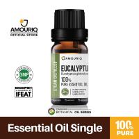 ราคา นํ้ามันหอมระเหยยูคาลิปตัส 100% กลั่นไอน้ำ Eucalyptus Essential Oil Steam-Distilled น้ำมันยูคา น้ำมันหอมระเหย ยูคาลิปตัส (3810338258)