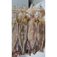 ราคา ปลาหมึก(แพ)​ไข่size​ใหญ่เนื้อนุ่มแพไข่แน่น, แพค 200 กรัม (7065176913)