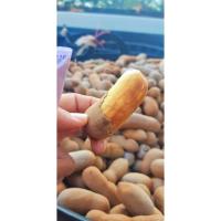 ราคา มะขามหวานเนื้อเยอะ(พันธุ์ประกายทอง) ตาแป๊ะ (25606915641)