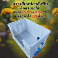 ราคา ลังพลาสติกแบบทึบสีขาวติดกระจก วาล์วฟ้าขวา อ่างท่อน้ำล้นขวา 36x54x28 อ่างเลี้ยงปลา อ่างเลี้ยงปลา กะบะปลา อ่างปลาบอลลูน (56503706070)