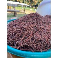 ราคา สมุนไพรดีปลี หรือ ดีปลีเชือก แห้ง ขนาด 200 กรัม (43653053172)