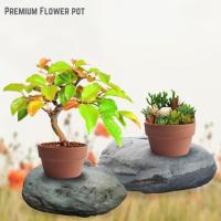 ราคา Pokok กระถางบอนไซหม้อฉ่ําเซรามิกกระถางบอนไซสําหรับต้นบอนไซกระถางบอนไซเซรามิกเซรามิกเซรามิก (29844096353)