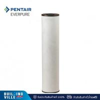 ราคา [ส่งฟรี!!] Mex ไส้กรองน้ำใช้ในบ้าน Big Blue PENTAIR รุ่น RFFE-20BB ขนาด 20 นิ้ว (23641247514)