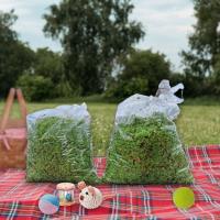 ราคา แหนแดง สุดยอดโปรตีนจากพืช พันธุ์กรมวิชาการเกษตร ขนาด 1 กก. (24620002881)