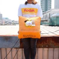 ราคา หมอนอิง จัตุรัส หน้า Garfield กาฟิว 13นิ้ว แมว แมวกาฟิว (8817666746)