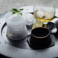 ราคา ที่ทำน้ำแข็งก้อนกลม สีดำ แม่พิมพ์ทำน้ำแข็งทรงกลม ถาดน้ำแข็งทรงกลม ทำน้ำแข็ง Ice Ball Maker น้ำแข็ง วิสกี้ (7435648895)