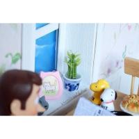 ราคา ต้นไผ่กวนอิม (20265038)