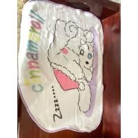 ราคา ผ้าห่มขนนุ่ม cinnamoroll ของแท้ จาก sanrio (43525668225)