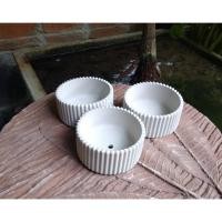 ราคา กระถางปูนเปลือย ปลูกแคคตัส ทรงกลมแบบหยัก (3418355578)