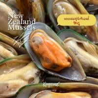ราคา หอยแมลงภู่นิวซีแลนด์ ไซซ์ M,NEW ZEALAND MUSSELS 1KG/PACK (8514713396)