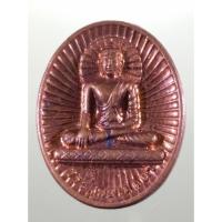 ราคา Antig SHop 5456 เหรียญพระพุทธเมตตา วัดไทยพุทธคยา ประเทศอินเดีย ขนาดเมื่อเทียบกับเหรียญบาท (26786887557)