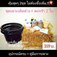 ราคา ชุดเพาะเห็ดฟางสำเร็จรูป พร้อม (ตะกร้า 2 ใบ) อุปกรณ์ครบเซ็ต มีคู่มือขั้นตอนการเพาะ ส่วนผสมทำได้มากกว่า 10 ครั้ง (2617085279)
