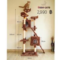 ราคา 0CT008 คอนโดแมว ขนาดใหญ่มากกกก สูง 180 ซม (แจกโค้ดส่วนลด) (1255939491)