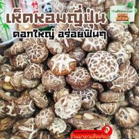 ราคา เห็ดหอม (เห็ดญี่ปุ่นดอกใหญ่) น้ำหนัก 200กรัม, 500กรัม, 1กิโล เห็ดหอมทำอาหารได้อร่อย มีประโยชน์ (1694715889)