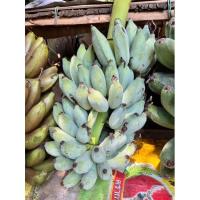 ราคา กล้วยน้ำว้านวลจันทร์ หน่อกล้วยน้ำว้านวลจันทร์ (19906798875)