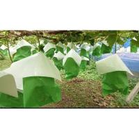 ราคา ถุงห่อองุ่นไซมัสแท้ จากญี่ปุ่นพร้อมหมวก กันน้ำได้ แบ่งขาย (29262939422)