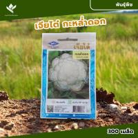 ราคา เมล็ดพันธุ์ กะหล่ำดอก พอลล่า ตราเจียไต๋ บรรจุ 100 เมล็ด (0.5 กรัม) (25162242109)