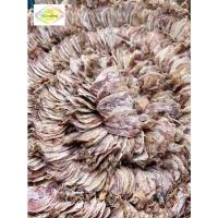 ราคา หมึกผ่าเนื้อหวานA6/หมึกผ่า2-3นิ้ว/หมึกแห้งตัวเล็ก/อาหารทะเลแห้ง (21845192382)