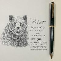 ราคา #018 Pilot Fountain Pen : ปากกาหมึกซึม Pilot (7421376030)