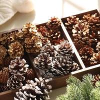 ราคา ลูกสน ลูกสนธรรมชาติ ลูกสนคริสต์มาส พร็อพตกแต่ง ประดับต้นคริสต์มาส ​ (23908925404)