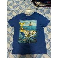 ราคา เสื้อยืดเด็กผู้ชายมือสองยี่ห้อh&mช่วงอายุ4-5ขวบ (26278890599)