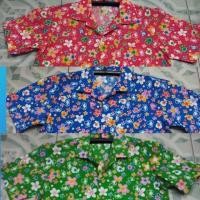 ราคา เสื้อลายดอก เสื้อสงกรานต์***ทรงผู้ชาย***L- XL (COTTON 100%) เสื้อเชิ้ตลายดอกผ้า ลายใหม่คมชัด สดใส (5519700281)