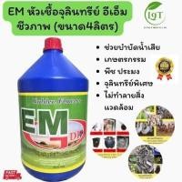 ราคา EM หัวเชื้อจุลินทรีย์ อีเอ็มชีวภาพ (ขนาด4ลิตร) (24576523797)