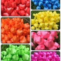 ราคา เหรียญโปรยทาน ดอกกุหลาบตูมคละสี100ดอก (7538967398)