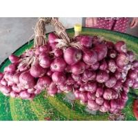 ราคา หอมแดงราคาถูก หอมแดงคุณภาพ หอมแดงศรีสะเกษ0.9กิโลกรัม ของดีอำเภอยางชุมน้อย (14741249370)