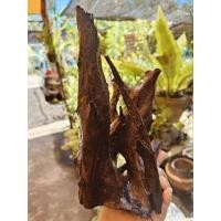 ราคา ขอนไม้ไซส์ใหญ่สำหรับตู้ปลา 24 นิ้วขึ้นไป (15199564821)