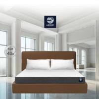 ราคา SB Design Square Mercury Mattress ที่นอนยาง PE รุ่น Sofia 4 นิ้ว ขนาด 3 ฟุต (29372730508)