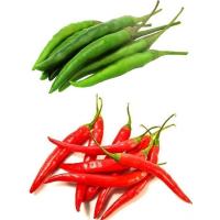 ราคา (3แถม1) จำนวน 500 เม็ด/ซอง เมล็ดพันธุ์พริกแดงจินดาผลดิบสีเขียว ผลแก่สุกสีแดงเข้ม ใช้ได้ทั้งผลสดและแห้ง (มีคู่มือการปลูก) (25131874504)