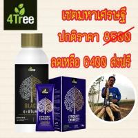 ราคา 4Tree โฟร์ทรี 10 ซอง + Amino Black อะมิโนแบล็ค 1 ลิตร เร่งราก เพิ่มน้ำหนัก %แป้ง (เซตมหาเศรษฐี) (20994794788)