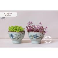 ราคา กระถางเซรามิก​ญี่ปุ่น​ (5736620159)