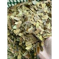 ราคา ใบก้ามปูล้วน เหมาะสำหรับผสมดินเพื่อใช้เป็นปุ่ยดินในการเพาะปลูก กิโลกรัมละ29บาท (23533200769)