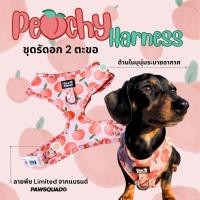 ราคา PAWSQUAD Peachy Harness | ชุดรัดอกสุนัขแมว สายรัดอกหมา สายรัดอกแมว แบบปรับได้ ระบายอากาศดี (23615207723)