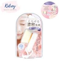 ราคา PROVENCE PREMIUM RICH WHIP BRUSH แปรงล้างหน้าจากญี่ปุ่น (15948910418)