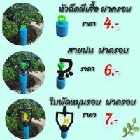 ราคา สปริงเกอร์สายฝน ฝาครอบ PVC 1/2",ใบพัดโครงหมุนรอบฝาครอบ PVC 1/2 ,ปีกผีเสือ ฝาครอบ PVC 1/2" (19131732226)