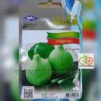 ราคา น้ำเต้า พันธุ์ลูกกลม Bottle gourd เจียไต๋ (29642690662)