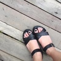 ราคา Millen in Black Glitter (531218)