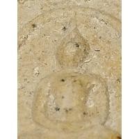 ราคา พระสมเด็จรุ่นฉลองสมโภชน์พระธาตุวัดพระศรีรัตนมหาธาตุจังหวัดนครศรีธรรมราชปลุกเสกโดยพระสายใต้ล้วนๆ (49301535765)