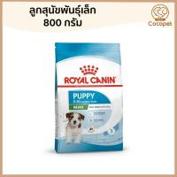 ราคา Royal Canin อาหารสุนัขลูกสุนัข Puppy & Starter สำหรับพันธุ์เล็ก–กลาง (45952477962)