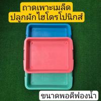 ราคา ถาดเพาะเมล็ด ถาดเพาะต้นกล้า ถาดใส่ฟองน้ำได้พอดี ถาดอเนกประสงค์ ปลูกผักไฮโดรโปนิกส์ (25315475684)