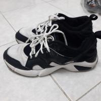 ราคา รองเท้าผ้าใบ prospecs ไซส์ 38 (24 cm) (6255584301)