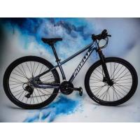 ราคา จักรยานเสือภูเขา Pinelli M8 29er 2024 (25250823018)