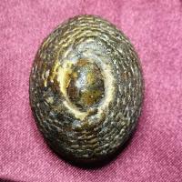 ราคา เบี้ยแก้เก่า เชือกถักลงรัก ปิดทอง หลวงปู่บุญ วัดกลางบางแก้ว จ.นครปฐม (9030234305)