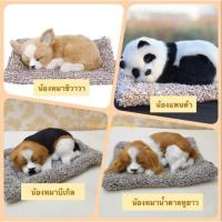 ราคา videoลด30% ตุ๊กตาดูดกลิ่น ช่วยลดกลิ่นอับ ตุ๊กตาหมา ตุ๊กตาแมว หมีแพนด้า จิ้งจอก น่ารักฝุดๆๆๆๆ (5119101151)