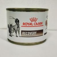ราคา Recovery Royal Canin อาหารสำหรับสัตว์ป่วย (24761969152)
