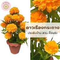 ราคา ดาวเรืองกระถาง (PF-F3018) ประดับบ้าน สวน หิ้งพระ ดาวเรืองปลอม กระถาง ดาวเรือง ดอกดาวเรือง ดอกไม้ปลอม ตกแต่งบ้าน (9914274743)